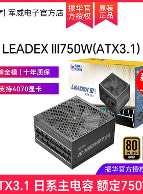振华LEADEX III750W电源电脑台式机主机机箱atx3.1电源金牌静音