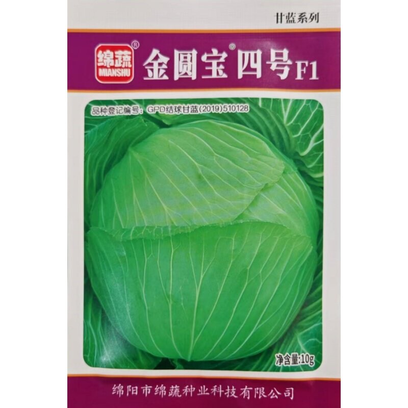 金圆宝四号甘蓝种子卷心菜包菜籽
