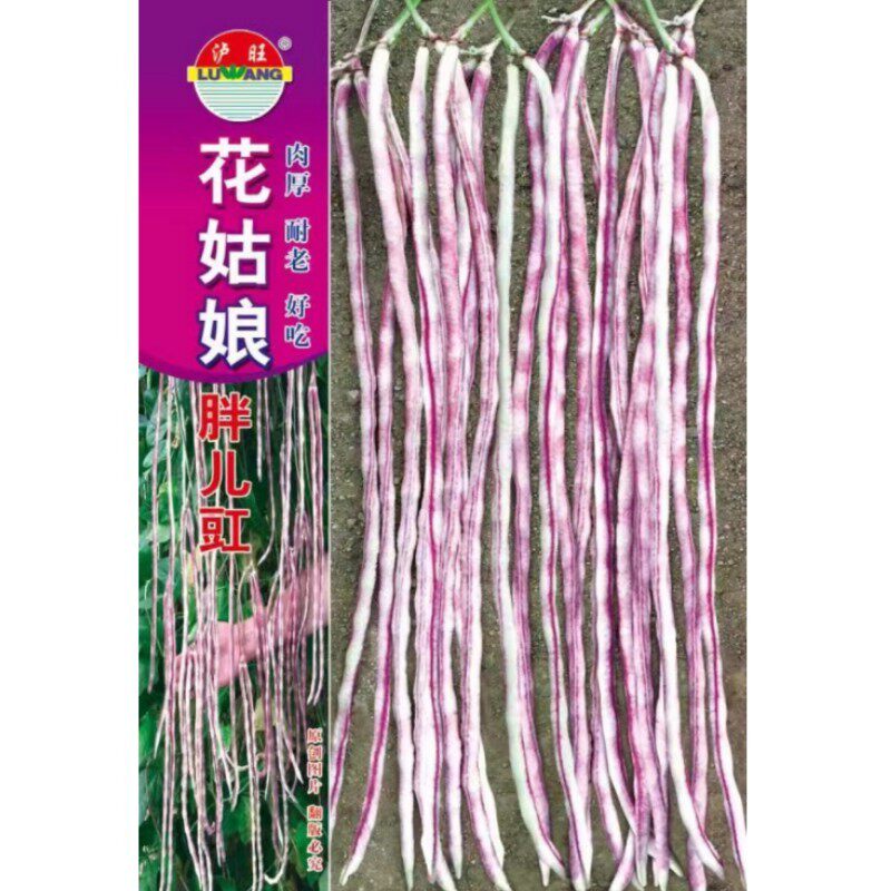 花姑娘豇豆种子花胖豇豆种籽长豆角种籽四川春季农家田园蔬菜种孑