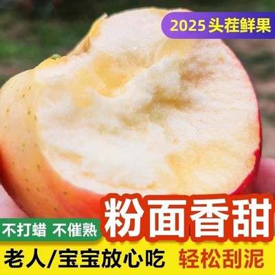 陕西树熟嘎啦粉面沙甜苹果婴儿老人吃的新鲜当季水果整箱批发