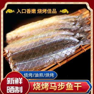 山东烧烤马步鱼干半成品针鱼片棒棒鱼多味鱼商用烧烤食材海鲜干货