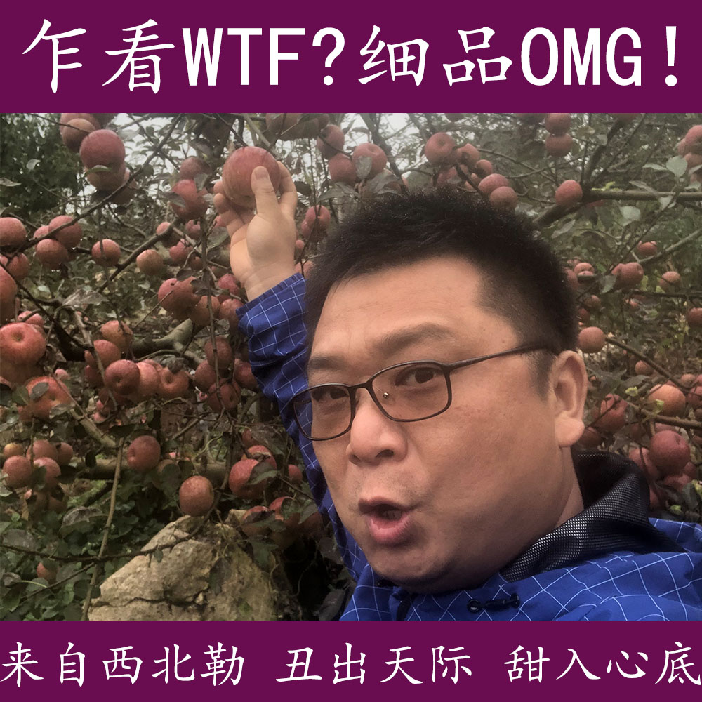 脆甜蒙自西北勒野生丑苹果