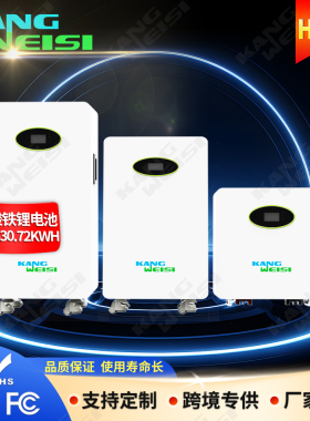 LiFePO4 Battery15度电太阳能磷酸铁锂电池51.2v光伏储能电池5kwh
