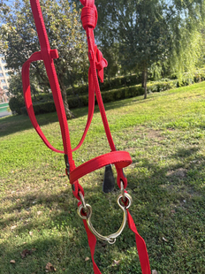 大草原赛马专用马鞍全套衔铁水勒马嚼子笼头嚼环嚼口