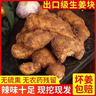 包邮 新鲜山东大姜生姜小块带泥老姜现挖无残留姜黄食用炒菜月子姜