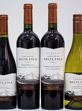 智利圣佩特罗酒庄珍藏级葡萄酒茉琳娜西拉卡曼尼赤霞珠霞多丽红酒