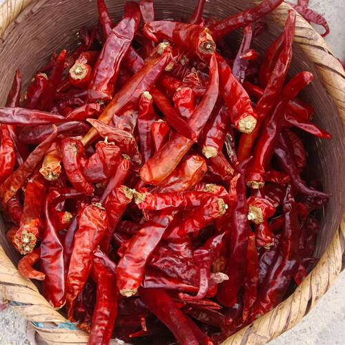 湖南湘西怀化麻阳土特产干辣椒干红辣椒中辣特香农家自嗮个个辣