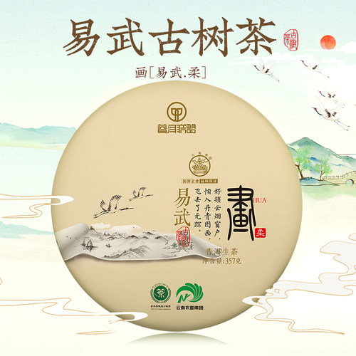 八角亭2019年画易武古树柔