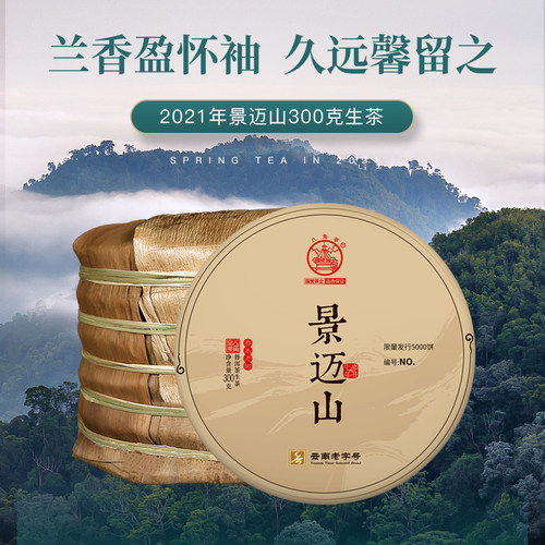 八角亭2021年景迈山古树