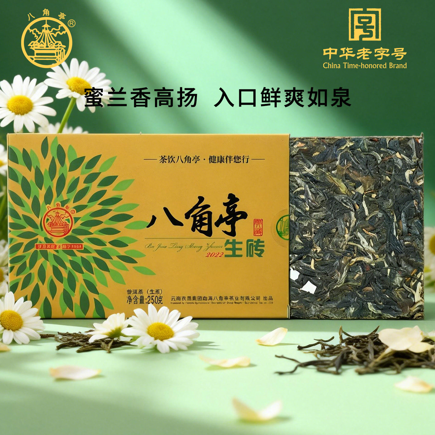 八角亭2022年八角亭砖茶生茶云南普洱茶砖经典布朗山大树茶砖250g