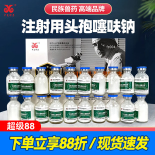 注射用头孢噻呋钠猪药兽药兽用头孢猪牛羊消炎药鱼腥草注射液孕畜