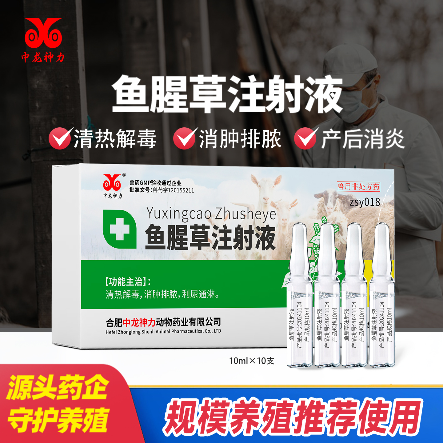 中龙神力正品兽药鱼腥草注射液