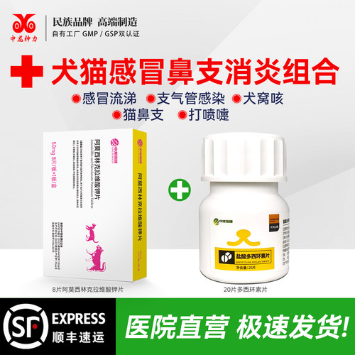 猫狗消炎片猫咪狗狗感冒药