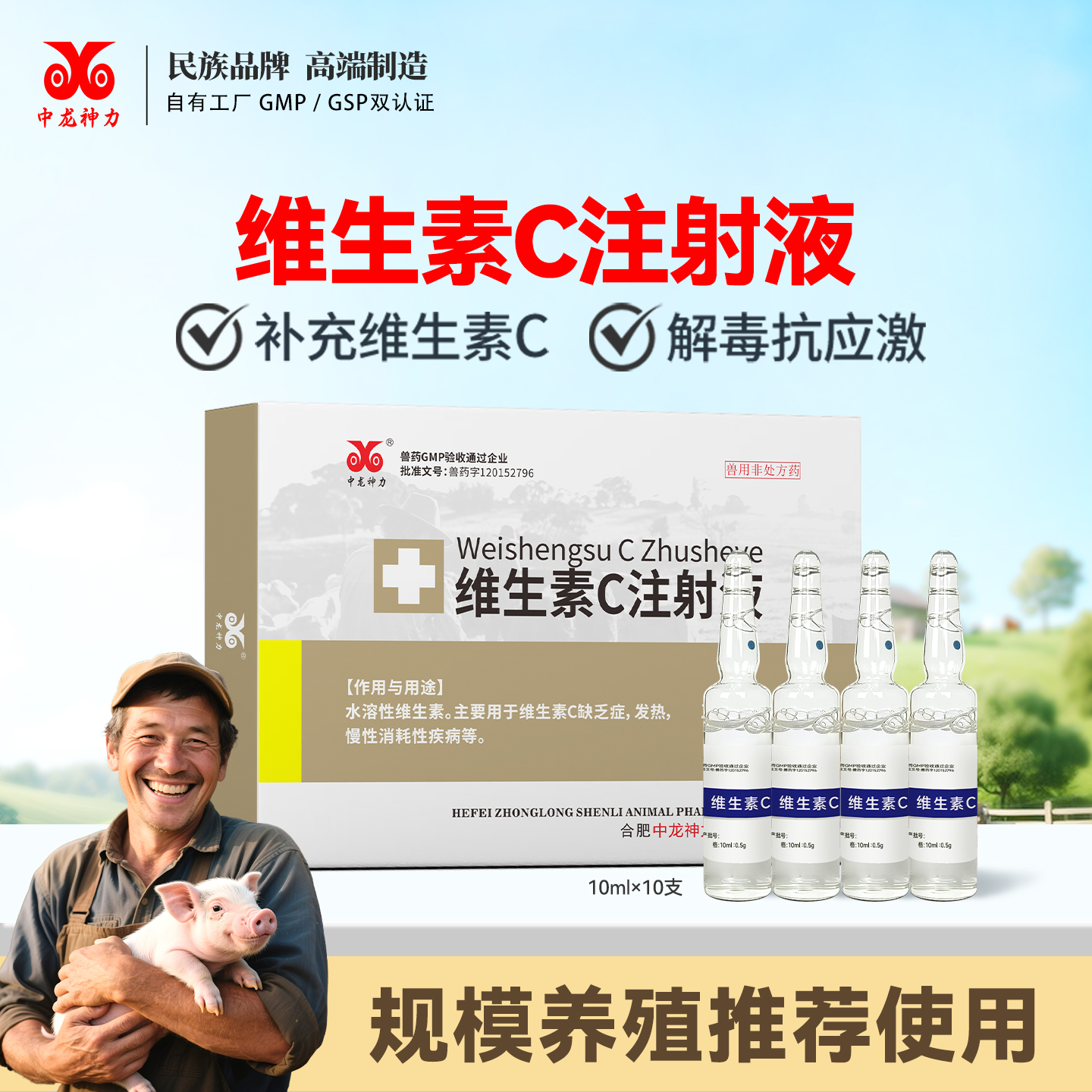 中龙神力兽药维生素C注射液兽用