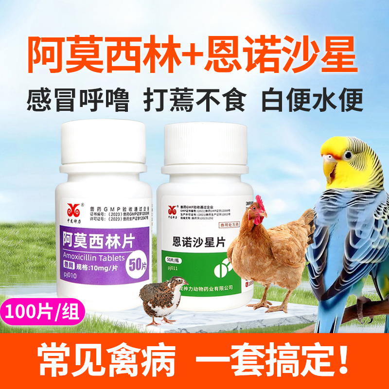 阿莫西林鸡鸭兽用恩诺沙星鸡药禽一片养鸡专用药鹦鹉鸽拉稀感冒