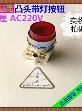 正品TEND杭州天得22厘T21LR-1C红色带灯凸头按钮开关自复位1开1闭