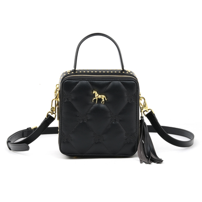 春夏马卡龙色系女士手提小方包流苏拉链绣花香水斜挎包