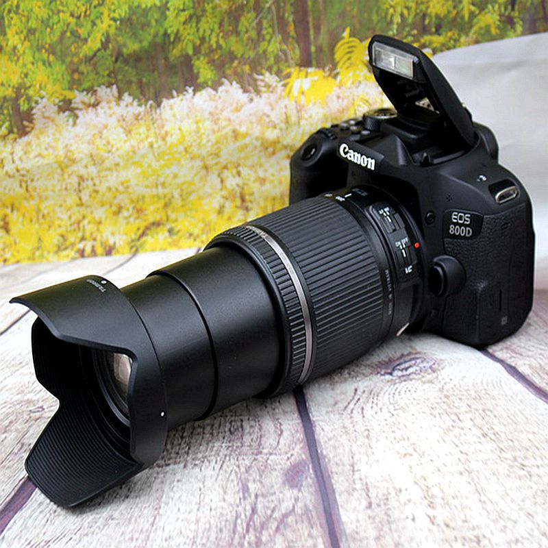 canon/佳能 eos 800d 18-135 套机 入门级高清单反相机数码照相机