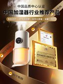 加湿器家用静音卧室小型充电办公桌面孕妇婴儿空气香薰喷雾器3812
