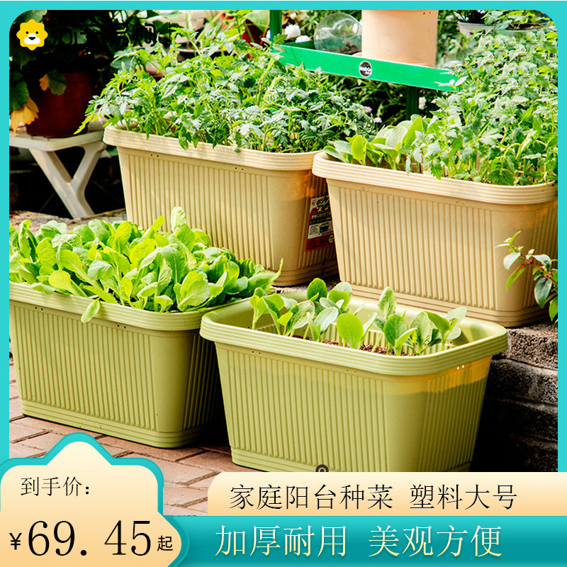 爱丽思532花盆长方形塑料大号家庭阳台种菜蔬菜种植盆家用爱丽丝