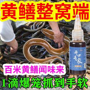 谷道香 开口专家鳝鱼饵料打窝料野钓黄鳝鱼底窝料地龙捕黄鳝诱饵