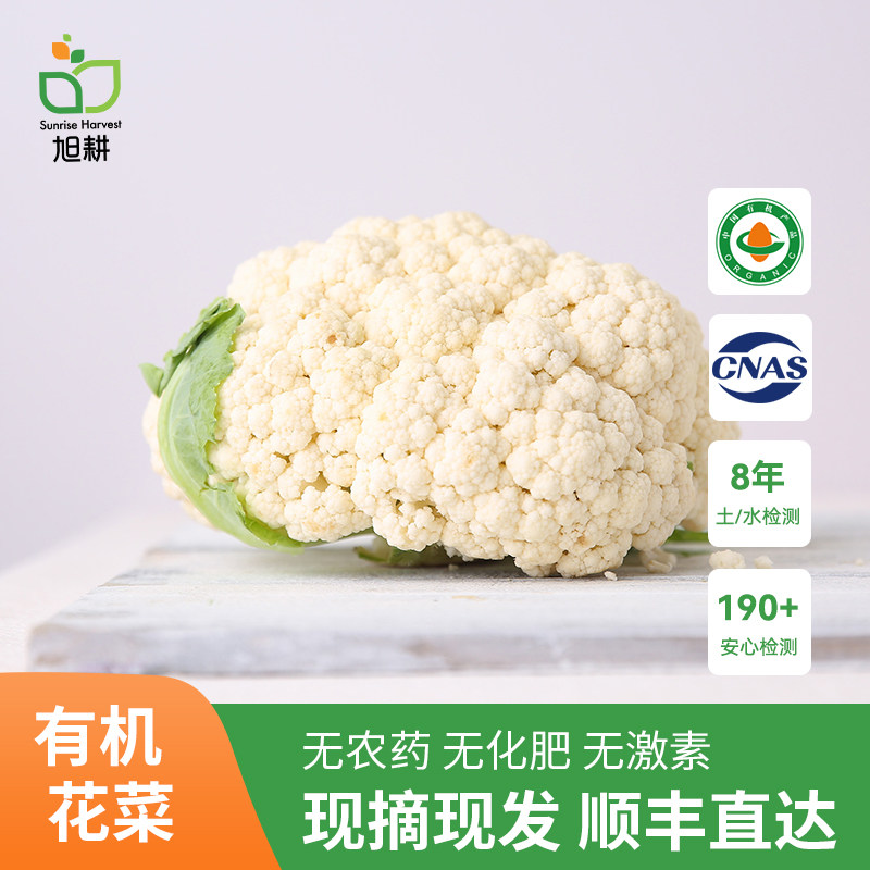 旭耕 有机花菜500g 白花菜新鲜有机蔬菜花椰菜白菜花孕婴食材顺丰