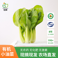 旭耕 有机小油菜250g 上海青净菜青菜新鲜蔬菜轻食沙拉涮火锅蔬菜