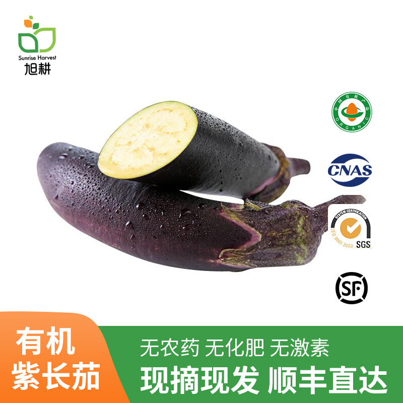 旭耕有机紫色茄子新鲜蔬菜食材