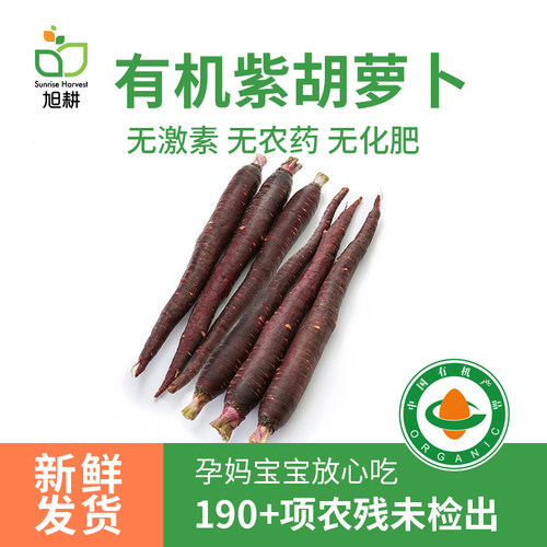 旭耕有机紫胡萝卜新鲜甜脆水果