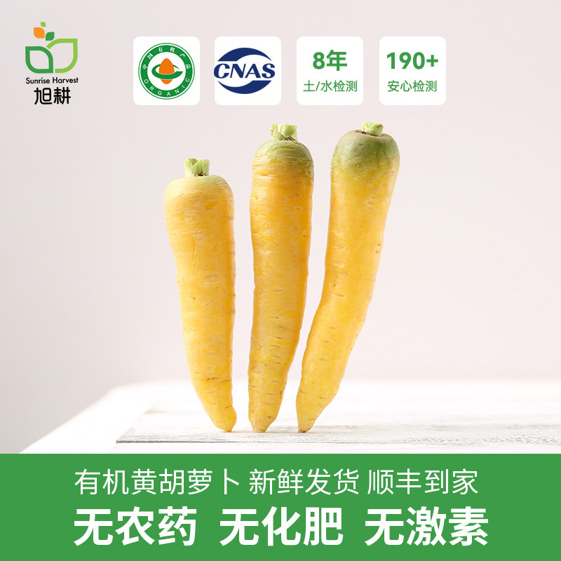 旭耕 有机黄胡萝卜3斤妈妈宝宝可生吃清甜新鲜蔬菜农家榨汁食材,水产肉类/新鲜蔬果/熟食,萝卜/胡萝卜,淘宝优惠券,粉丝福利购,淘宝优惠卷