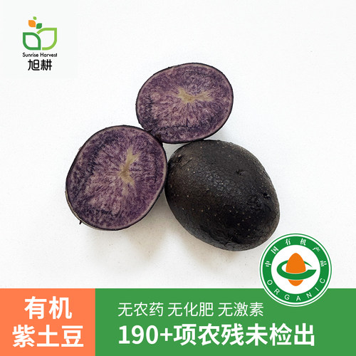 旭耕生态紫土豆新鲜黑金刚马铃薯