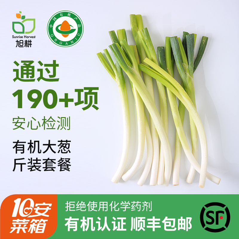 山东有机大葱旭耕大葱
