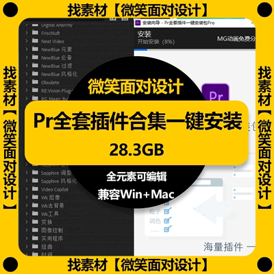 Pr全套插件合集一键安装包+超多预设 兼容Win+Mac