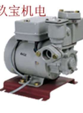 15CJT0202E日本IWAYA水泵20CJT0402E，25CJT0402E，20CJT0752E