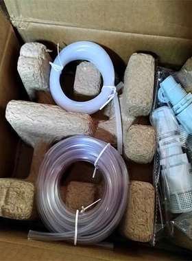 SEKO  DMM200NHP08 00