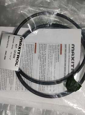 供应 TECHAP BM2K-C 过滤器 BM1K 原厂全新