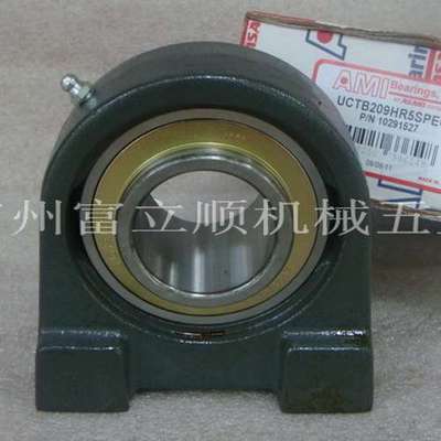 专业销售AMI轴承-美国AMI UCTBL205-16MZ2轴承