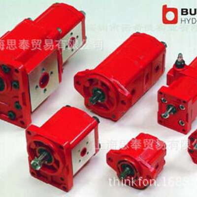 原装正品 瑞士BUCHER布赫 油泵 齿轮泵 W2N32SN-6AG2 11 M100