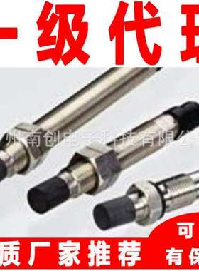 德国申克schenck B&K VIBRO电涡流传感器IN-081/3/080/100/0/264