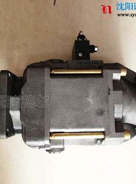 HAWE泵V60N-110RDUN-1-0-03-LSN-2升级RDYN-1-0-03/LSNR-2-200