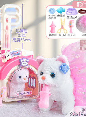 超晟萌宠拉杠屋电动儿童玩具