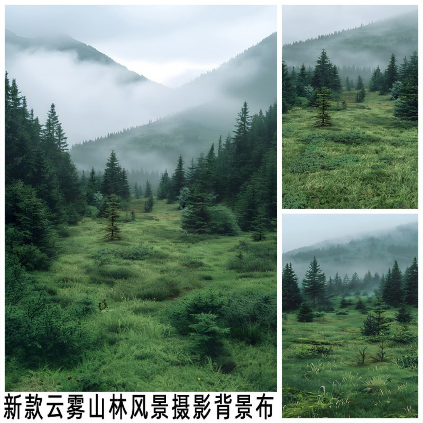 云雾山林草地风景背景布网红摆拍