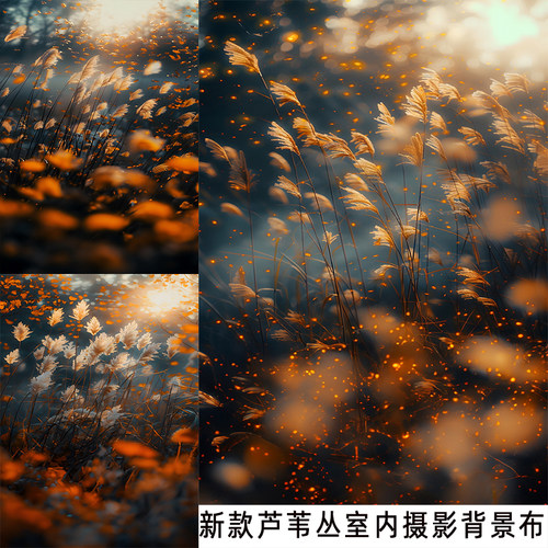 款芦苇荡风景草地背景布网红拍照