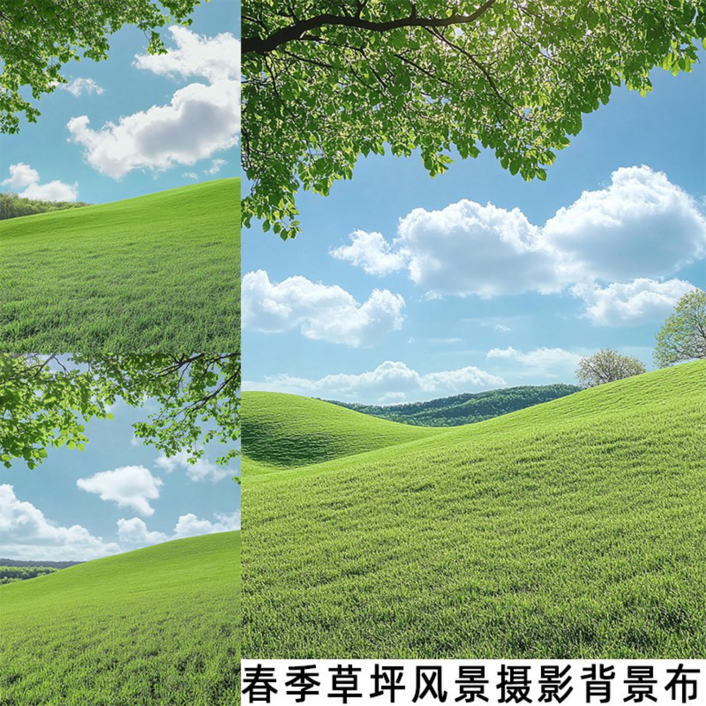 草坪田园风光蓝天白云摄影背景布