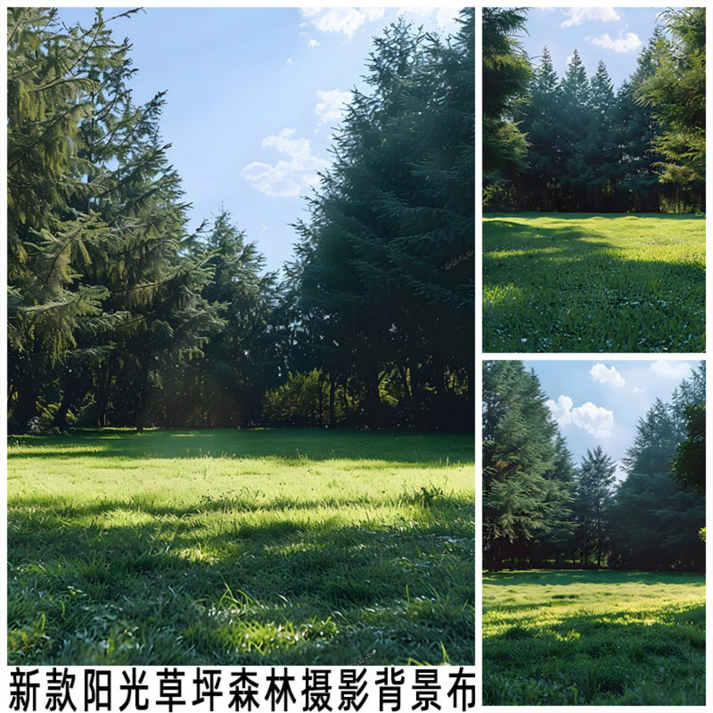 款阳光森林草坪背景布直播摆拍