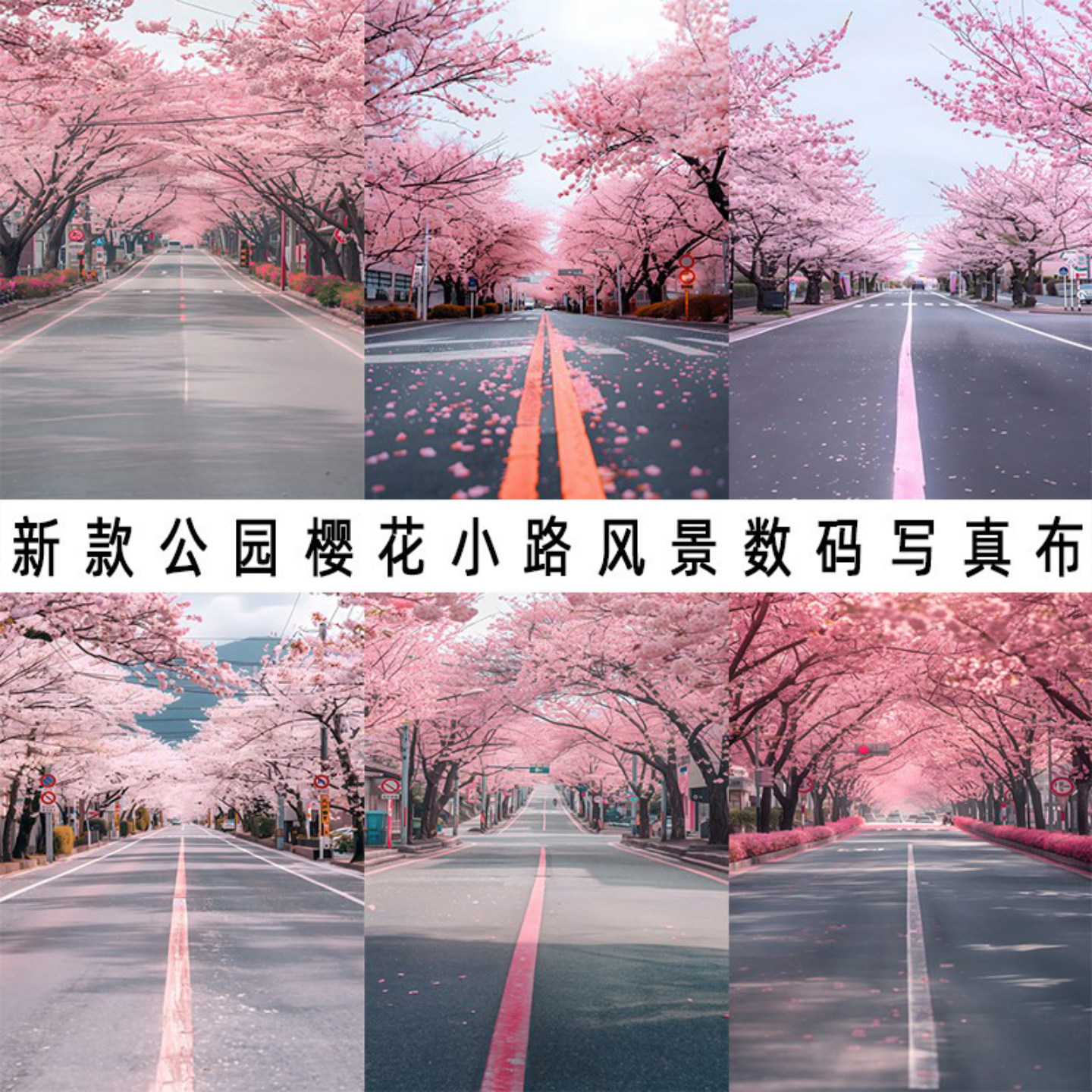 春季樱花小路摄影背景布主播摆拍