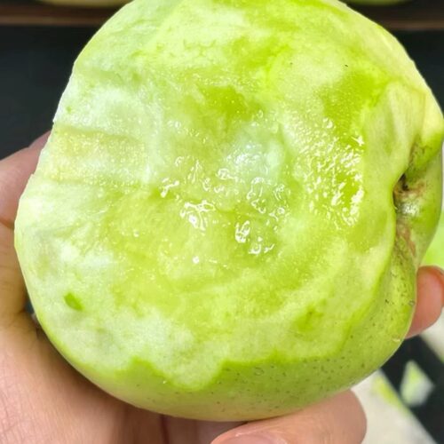 印度青苹果山东烟台印冬苹果儿时老品种丑糖心纯甜老印冬新鲜脆艮