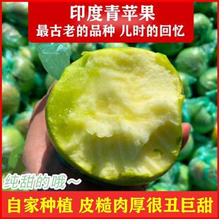 山东烟台正宗印度青苹果儿时老品种丑糖心纯甜老印冬新鲜脆艮