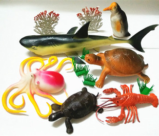 马来西亚沙巴山打根海龟岛国家公园保护区2天