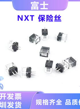 NXT保险丝H2001H H2001R H20013 H20015 0.5A 1.0A 2.03.2A保险丝
